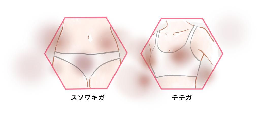 チチガ・スソワキガ説明